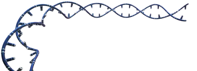 DNA Strand